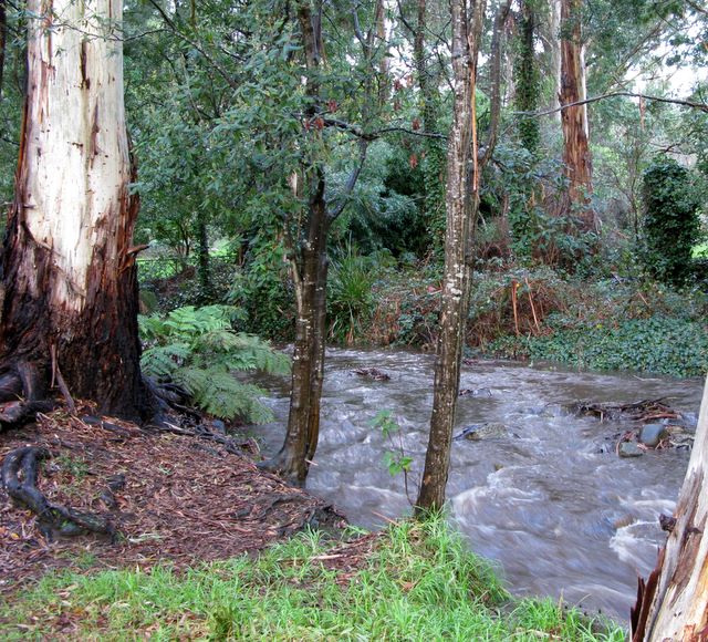 BIG4 Badger Creek Holiday Park - Healesville: Beautiful running brook adjacent to the park