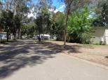 BIG4 Badger Creek Holiday Park - Healesville: lots of trees in the park