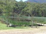 BIG4 Badger Creek Holiday Park - Healesville: Big pond at rear of park