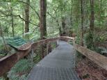 BIG4 Badger Creek Holiday Park - Healesville: Gallery walk not far away