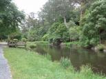 BIG4 Badger Creek Holiday Park - Healesville: River walk at Warburton