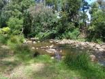 BIG4 Badger Creek Holiday Park - Healesville: Badger creek runs past the park