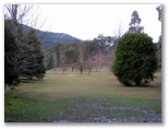 BIG4 Badger Creek Holiday Park - Healesville: The park has lots of open space