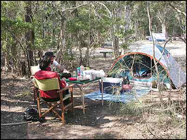 Jervis Bay Cabins & Camping - Huskisson: Restful and serene location.