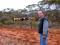 Mike mustering cattle