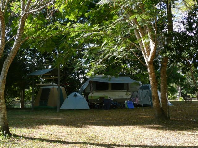 Island Reach Camping Resort - Imbil: Camping among the trees beside the river