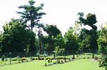 BIG4 Innisfail Mango Tree Tourist Park - Innisfail: Large spacious powered sites 