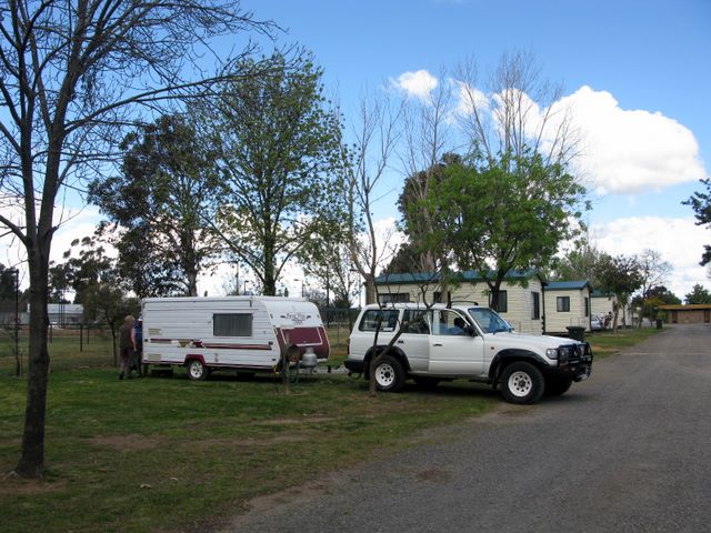 Jerilderie Motel & Caravan Park - Jerilderie: Powered sites for caravans