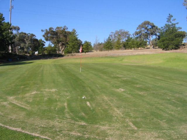 Junee Golf Course - Junee: Green on Hole 1