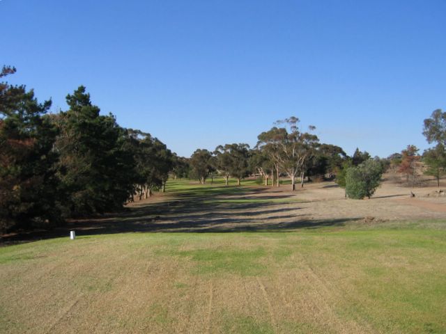 Junee Golf Course - Junee: Fairway view Hole 3 - Par 4