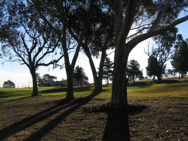 Junee Golf Course - Junee: Approach to the Green on Hole 7 if the ball comes off the camber !!
