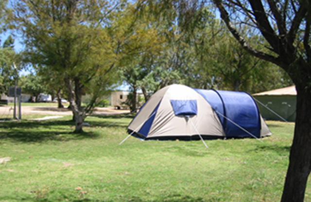 Jurien Bay Tourist Park - Jurien Bay: Area for tents and camping