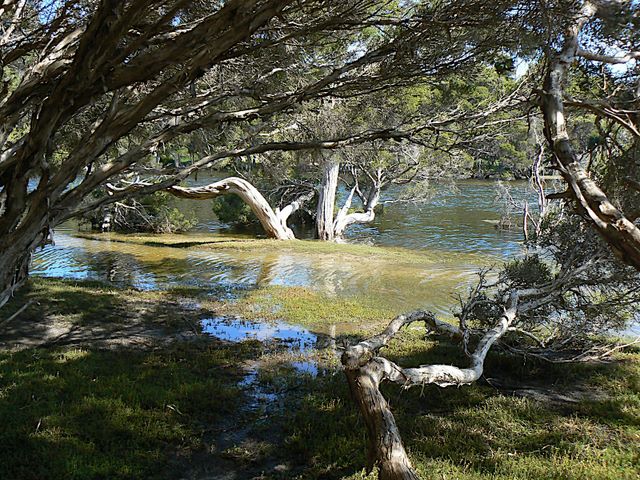 Kingscote Nepean Bay Tourist Park - Kingscote Kangaroo Island: Chapman River, Ante chamber Bay