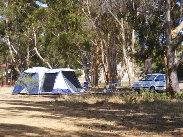 Kapunda Tourist and Leisure Park - Kapunda: Area for tents and camping