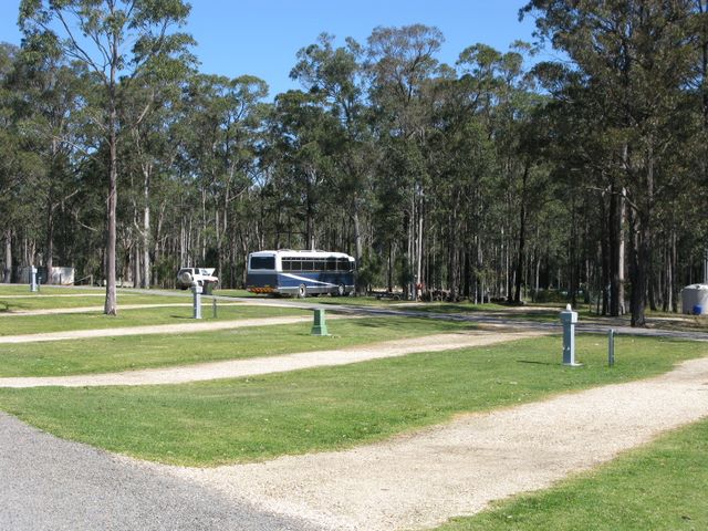 Australian Motor Homes Tourist Park - Karuah: Drive through powered sites for caravans