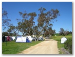 Pendleton Farmstay Camp Site & Conference Centre - Keith: Powered sites for caravans and tents