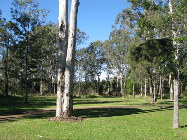 Kempsey Tourist Village - Kempsey: Area for tents and camping