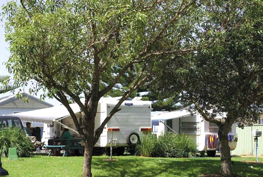 Kendalls on the Beach Holiday Park - Kiama: Powered sites for caravans
