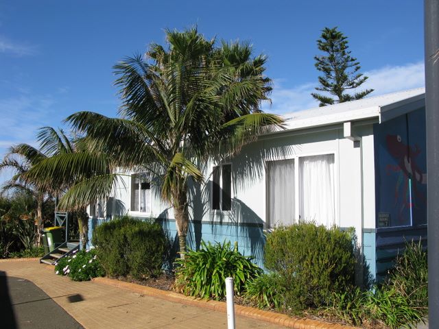 Surf Beach Holiday Park - Kiama: Cottage accommodation, ideal for families, couples and singles