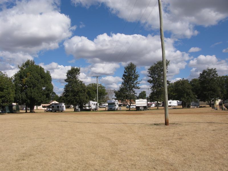 Kingaroy Showgrounds Caravan Park - Kingaroy: Powered sites for caravans