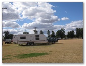 Kingaroy Showgrounds Caravan Park - Kingaroy: Powered sites for caravans
