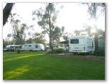 Kojonup Caravan Park - Kojonup: Kojonup Caravan Park powered sites and grassed area.