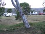 Rocky Plain Camping Ground - Kosciuszko National Park: Our neighbours from Queensland,their van weighed 3 tons ,had lots of extras which he proceeded to tell me all about,dinner was an hour and a half late.