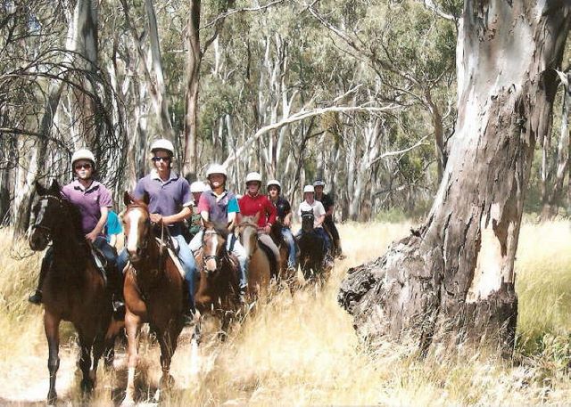 Wakiti Creek Resort - Kotupna: Horse riding