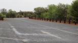 NT - SA Border - Kulgera: Drive through sites.