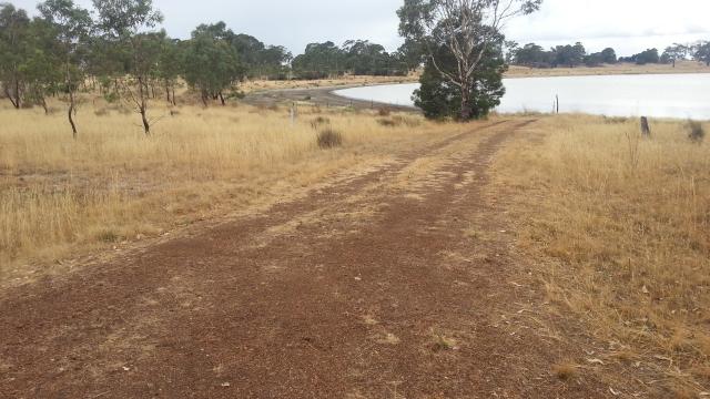 Lake Collins Reserve - Edenhope: Road down to the Lake