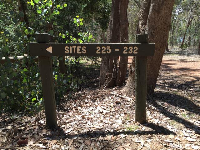Devils Cove Campground - Lake Eildon National Park: Sites are clearly marked