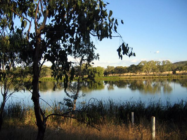 Lake Inverell Reserve - Inverell: This is a peaceful place for reflection and relaxation.