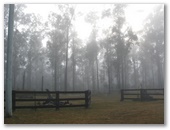 Lanitza NSW - Lanitza: Charming bushland adjancent to the Stay and Rest.