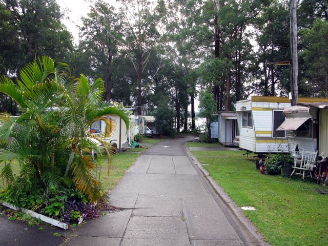 Christmas Cove Caravan Park - Laurieton: Narrow sealed road within the park.