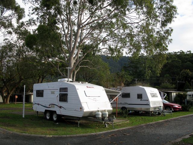 Laurieton Gardens Caravan Resort - Laurieton: Powered sites for caravans