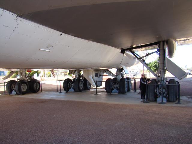 Longreach Tourist Park - Longreach: The landing gear of the 747. The tyres cost around $20,000 each. And we complain about replacing tyres on our cars!