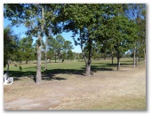 Lowood and District Golf Club - Lowood: Many delightful trees on the course.