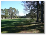 Yowani Country Club - Lyneham: Approach to the Green on Hole 10 - beautiful tree-lined fairways