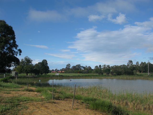 Maffra Golf Club RV Park - Maffra: Dam is near the entrance to the golf course and adjacent to the Caravan Park.