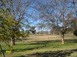 Manilla Rivergums Caravan Park - Manilla: Area for tents and camping with nice views