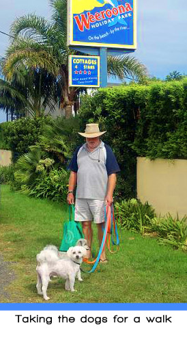 Weeroona Holiday Park - Manning Point: Taking the dogs for a walk.