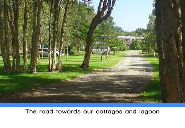 Weeroona Holiday Park - Manning Point: The road towards the cottages and lagoon.