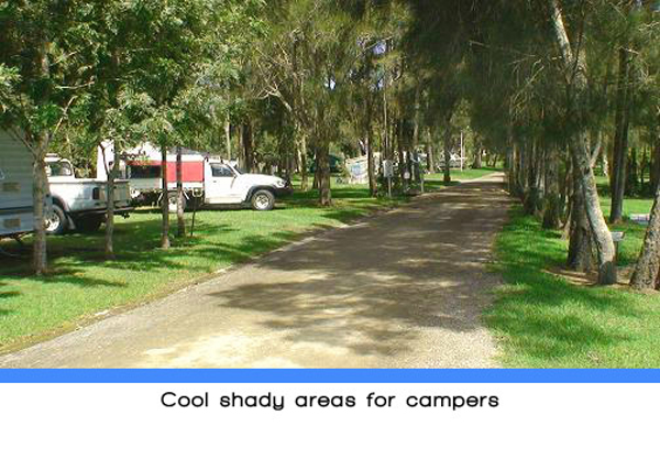 Weeroona Holiday Park - Manning Point: Cool shady areas for campers.