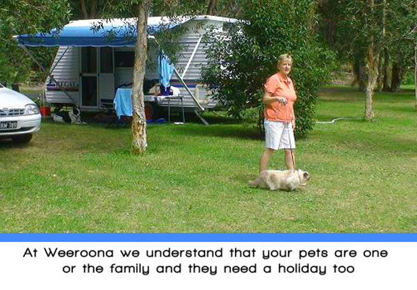 Weeroona Holiday Park - Manning Point: Pets need a holiday too.