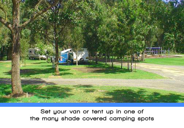 Weeroona Holiday Park - Manning Point: Set your van or tent up in one of the many shade covered camping spots.
