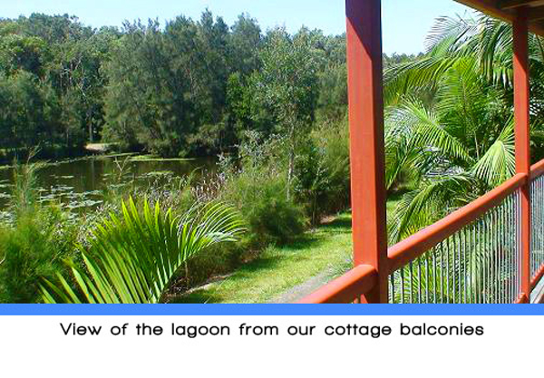 Weeroona Holiday Park - Manning Point: View of the lagoon from the cottage balconies.
