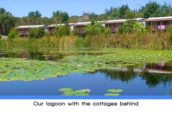 Weeroona Holiday Park - Manning Point: The lagoon with cottages behind.