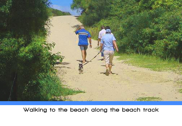 Weeroona Holiday Park - Manning Point: Walking to the beach along the beach track.
