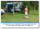 Weeroona Holiday Park - Manning Point: Pets need a holiday too.