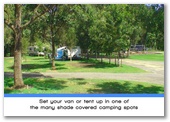Weeroona Holiday Park - Manning Point: Set your van or tent up in one of the many shade covered camping spots.